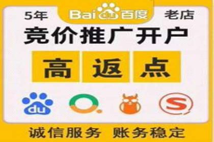 XX行业竞价广告的投放策略与效果分析